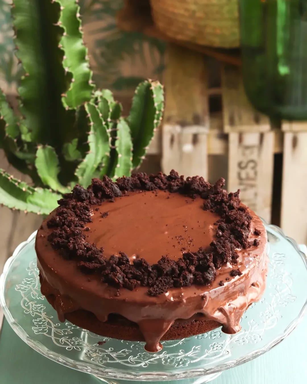 Un gâteau vegan au chocolat de Cabane, entre les cactus
